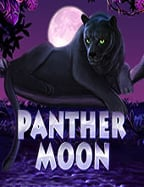 เด โม บา คา ร่าเกม บา คา ร่า ออนไลน์ สนุกและน่าทดลอง